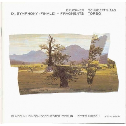 Bruckner - IX Symphony (Finale) Fragments - Schubert/Haas - Torso
